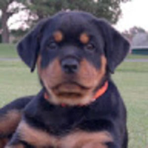 Meet your Posher, Marissa